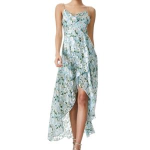 Alice + Olivia long dress